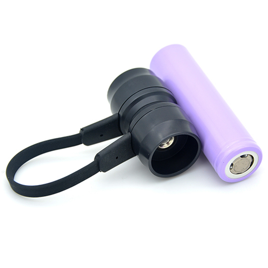 Mini Charger