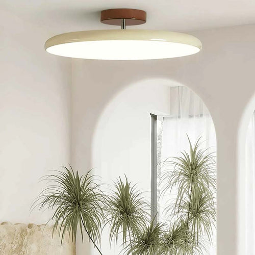 Ceiling light fixture in a room with plants and a window