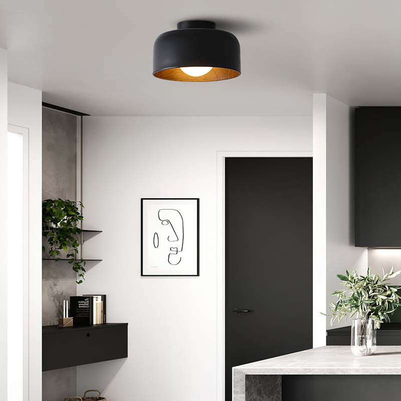 Modern interior with black ceiling light fixture, abstract art, and plants.