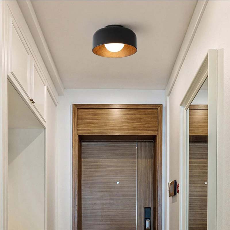 Ceiling light fixture in a hallway with wooden door and mirror.