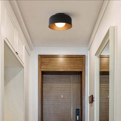 Ceiling light fixture in a hallway with wooden door and mirror.