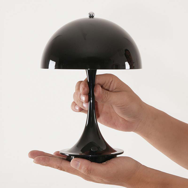 Black table lamp held in a hand against a white background