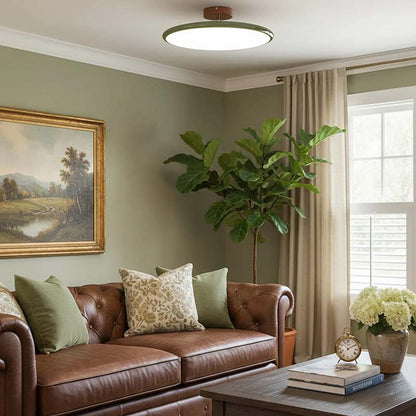 Ceiling light in a living room interior with a brown leather sofa, throw pillows and a potted houseplant.