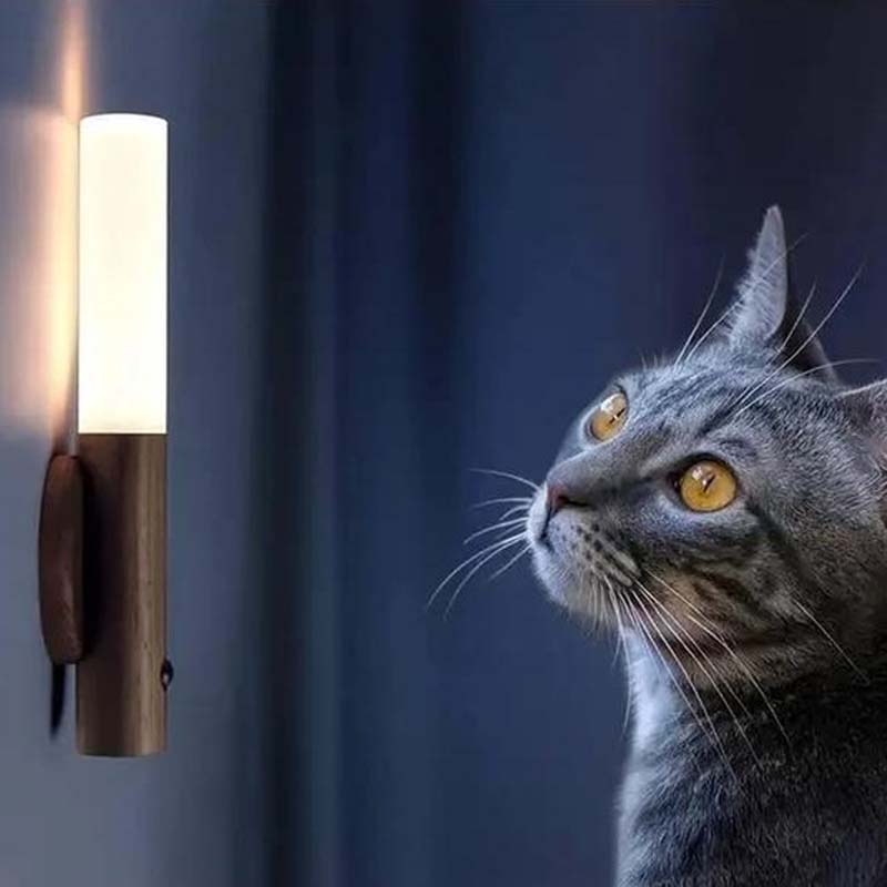 Wireless LED night light with motion sensor providing safe, soft illumination for home interiors and pets at night